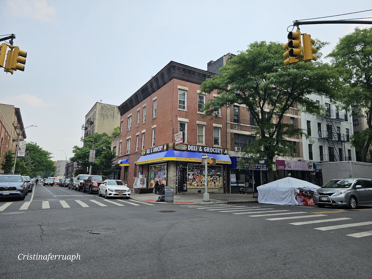 Bronx Little Italy — Restaurant